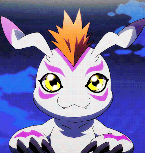 Gomamon